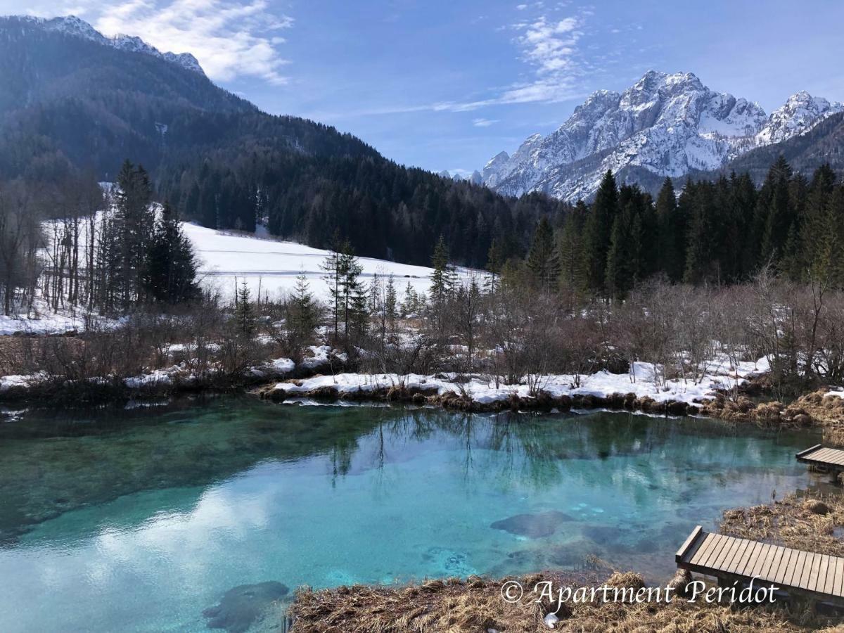 Vila Mojca Apartma Peridot - Center Kranjska Gora Exterior foto