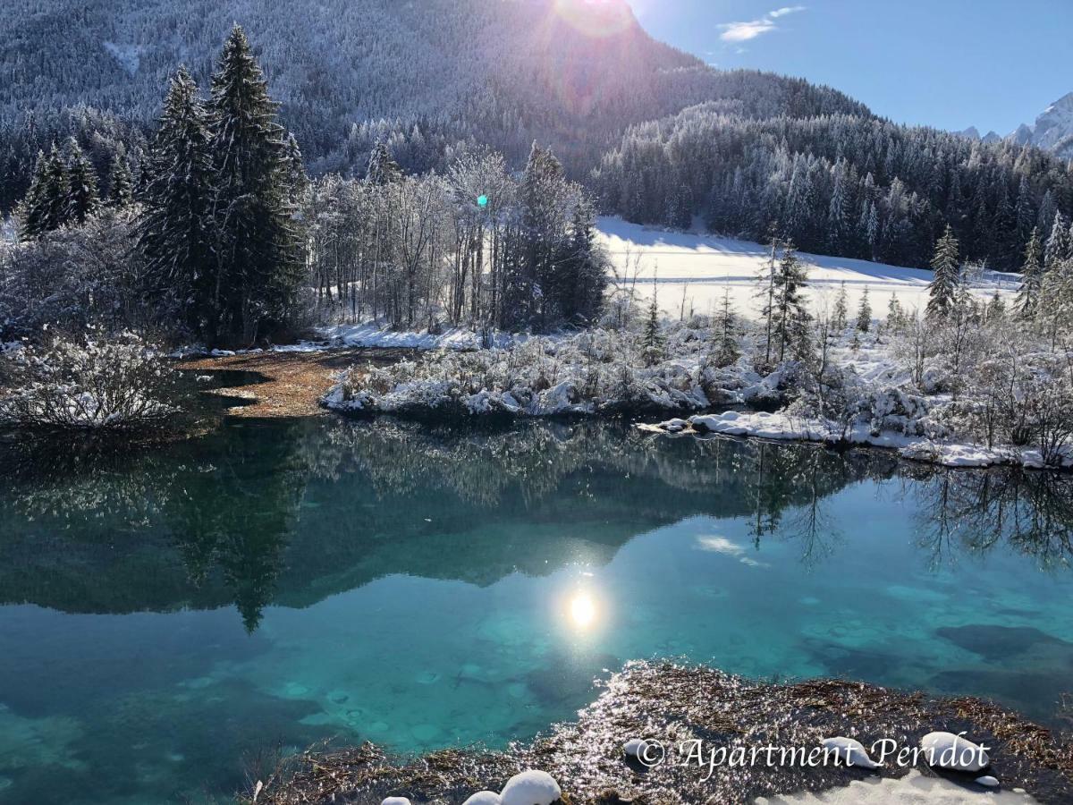 Vila Mojca Apartma Peridot - Center Kranjska Gora Exterior foto