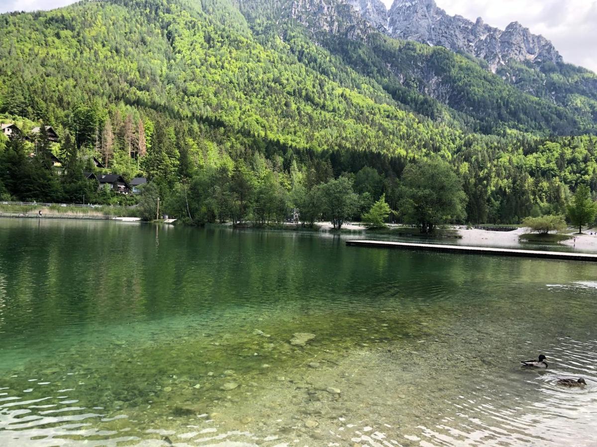 Vila Mojca Apartma Peridot - Center Kranjska Gora Exterior foto